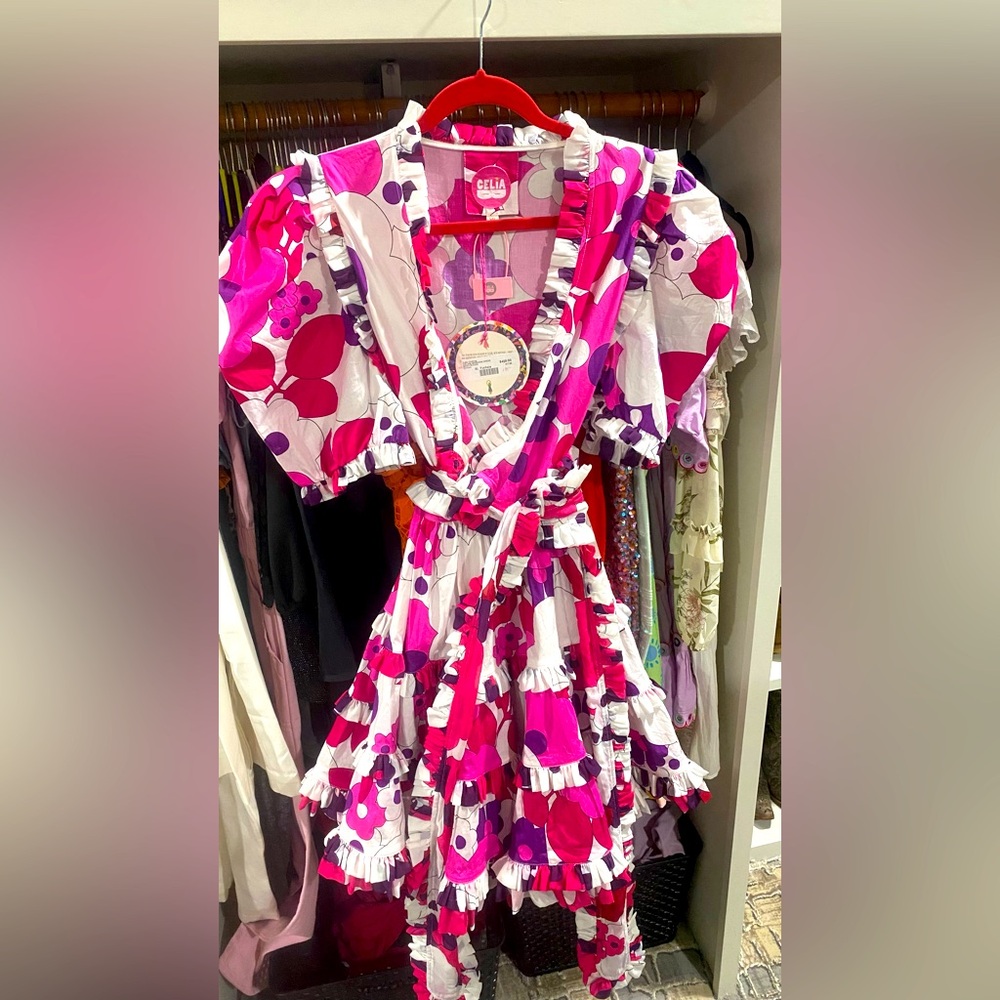 NWT CeliaB dress
